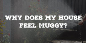 Why Does My House Feel Muggy?