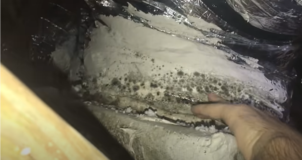 mold growing on a duct connection
