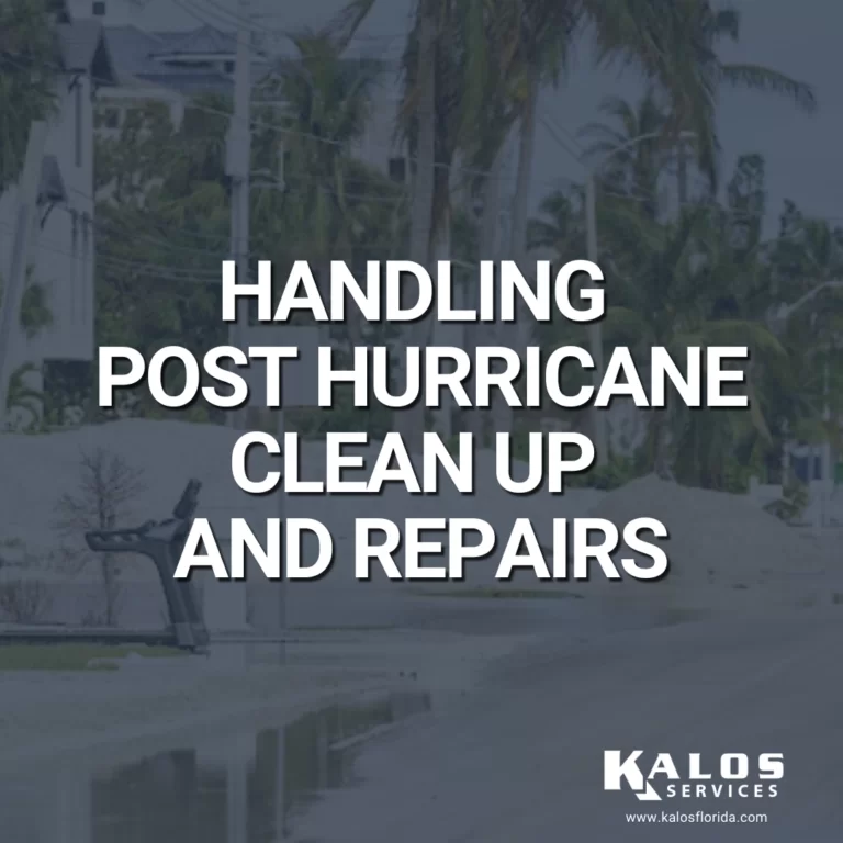Handling Post-Hurricane Cleanup and Repairs