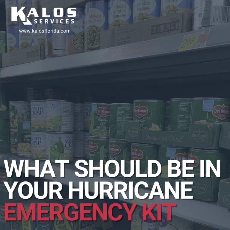 What Should Be In YOUR Hurricane Emergency Kit?
